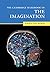 The Cambridge Handbook of the Imagination (Cambridge Handbooks in Psychology)