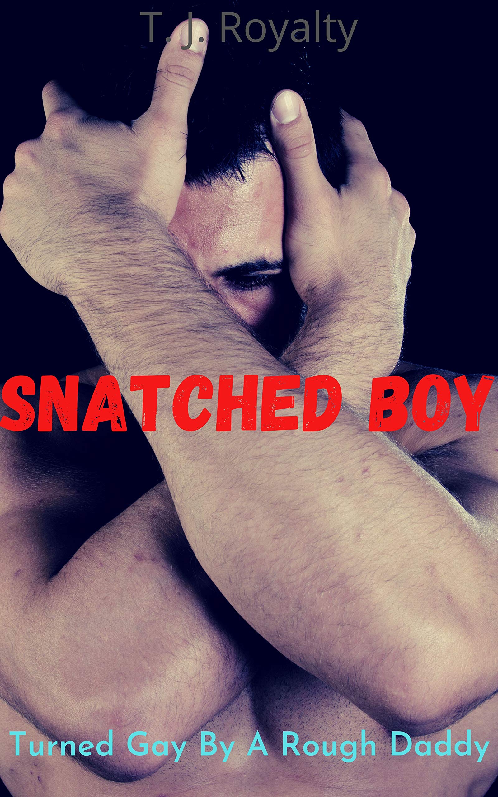 Snatched Boy: Turned Gay By A Rough Daddy (Twinks and Daddies Book 2)