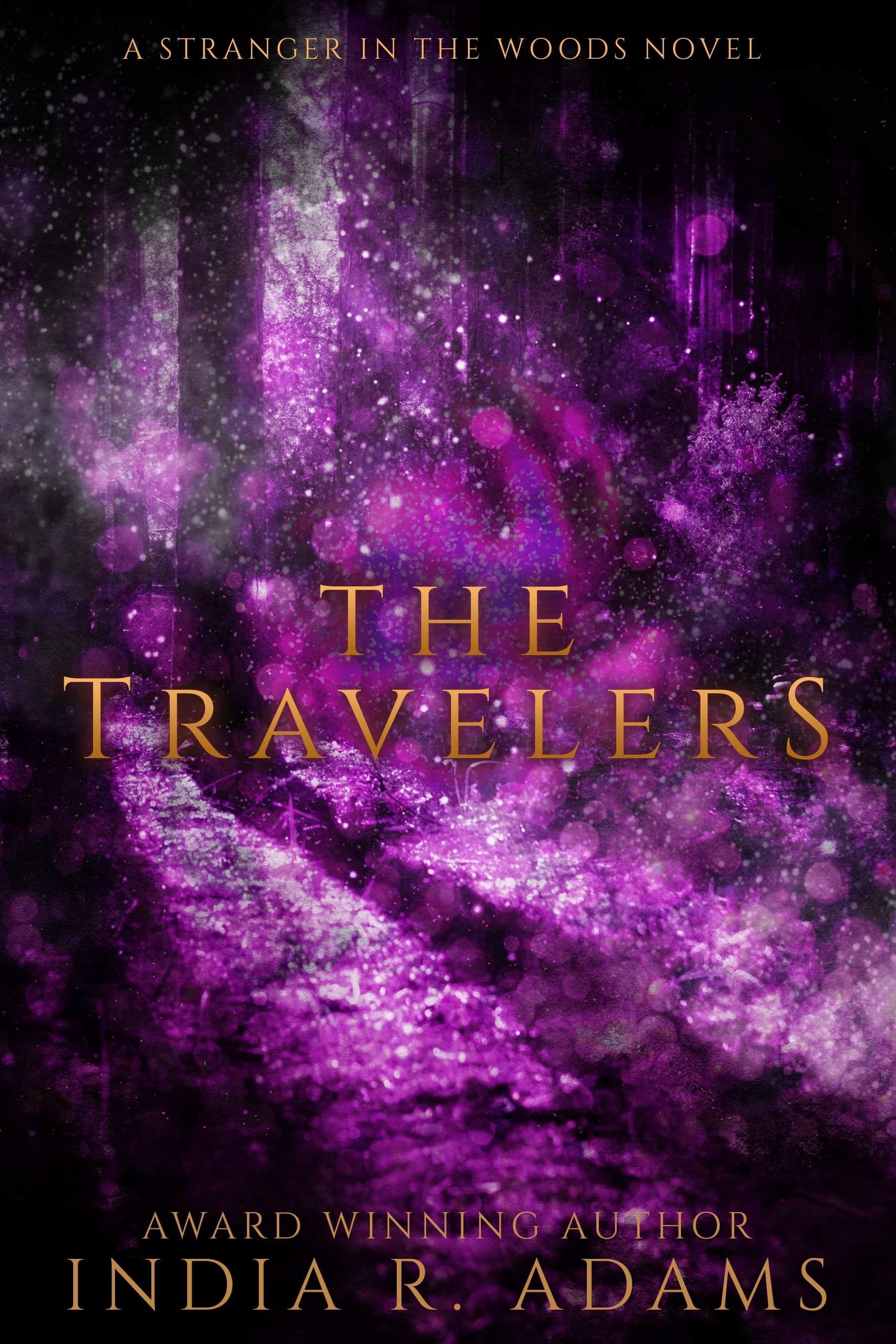 The Travelers (A Stranger in the Woods, #4)