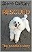Rescued: The poodle's story
