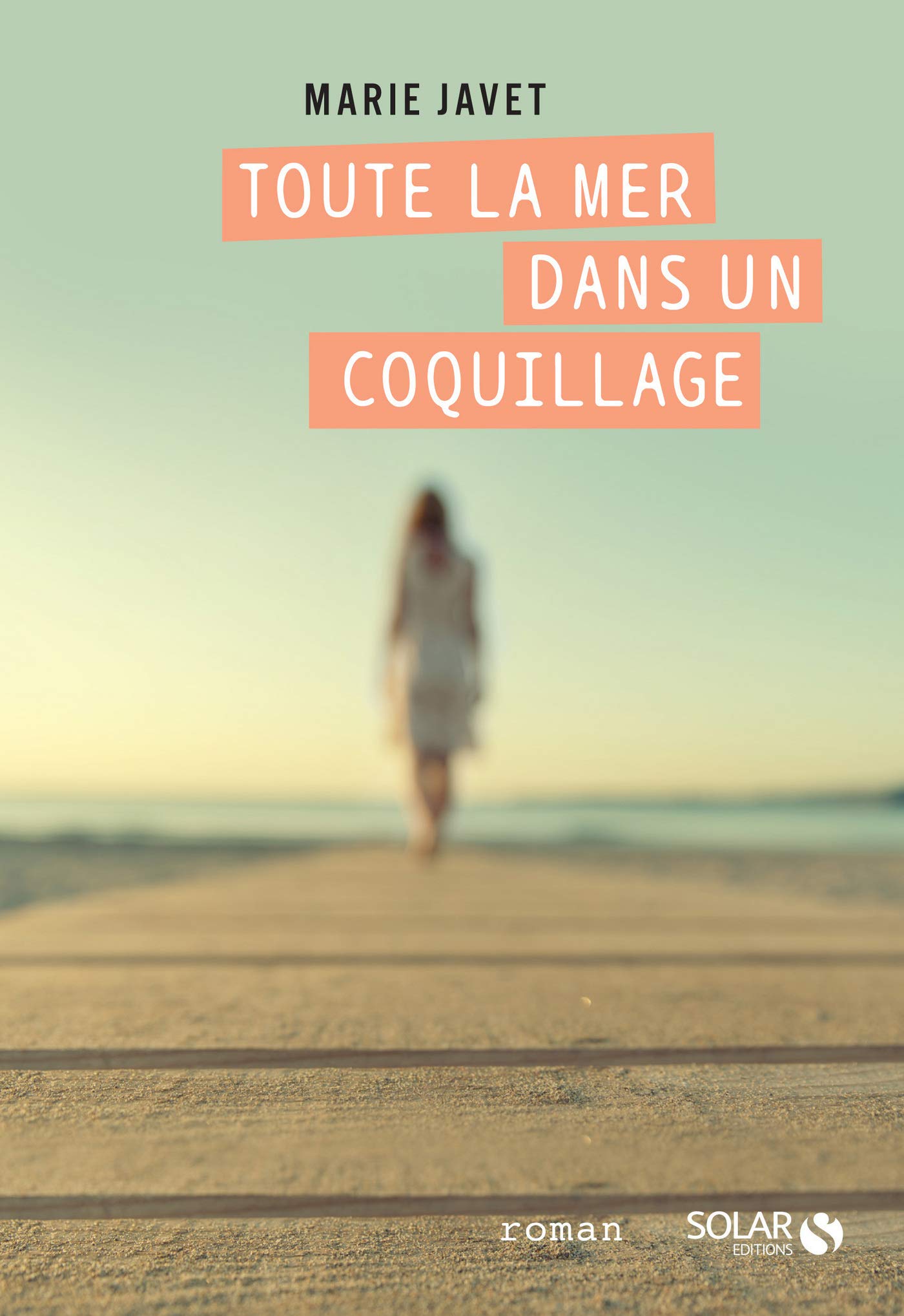 Toute la mer dans un coquillage (French Edition)