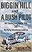 BIGGIN HILL and A BUSH PILOT: RAF Stories from 1934 to 1944 and My Flying Adventures in Africa