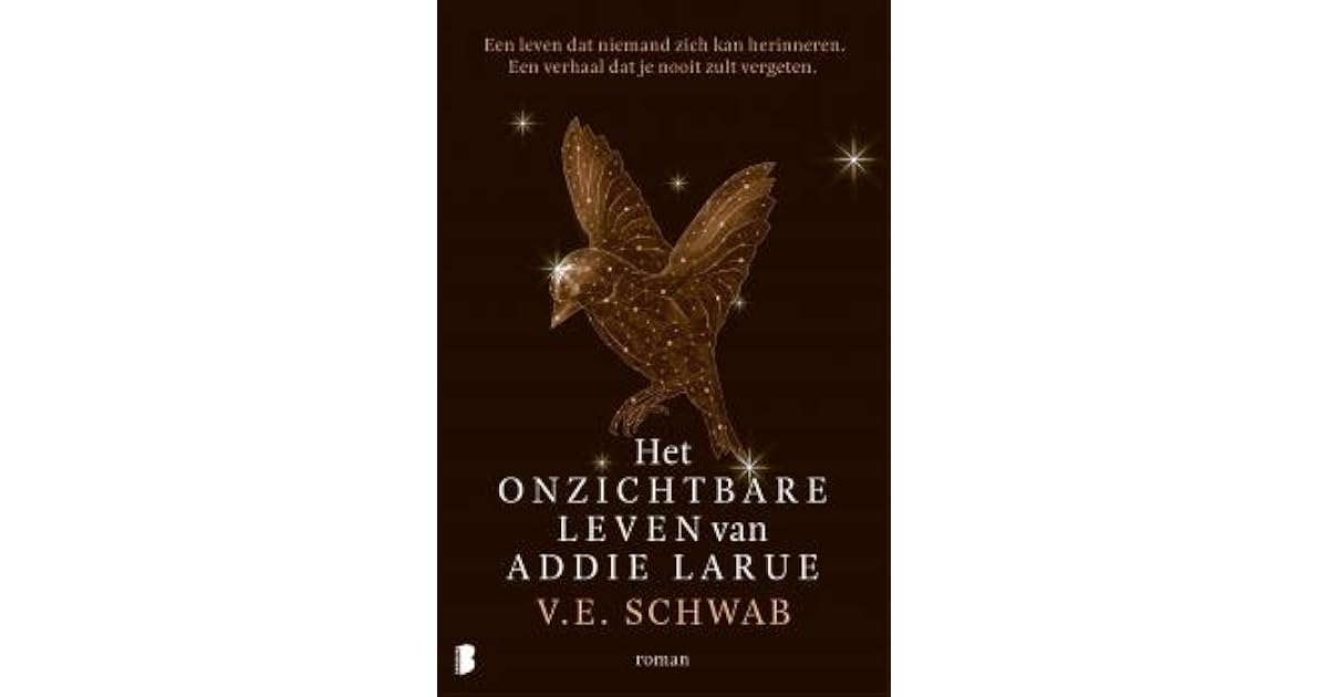 Het onzichtbare leven van Addie LaRue by V.E. Schwab