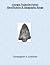 Georgia Projectile Points by Christopher Cameron