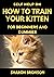 Self Help Guide on How to Train Your Kitten by Sharon Bronson