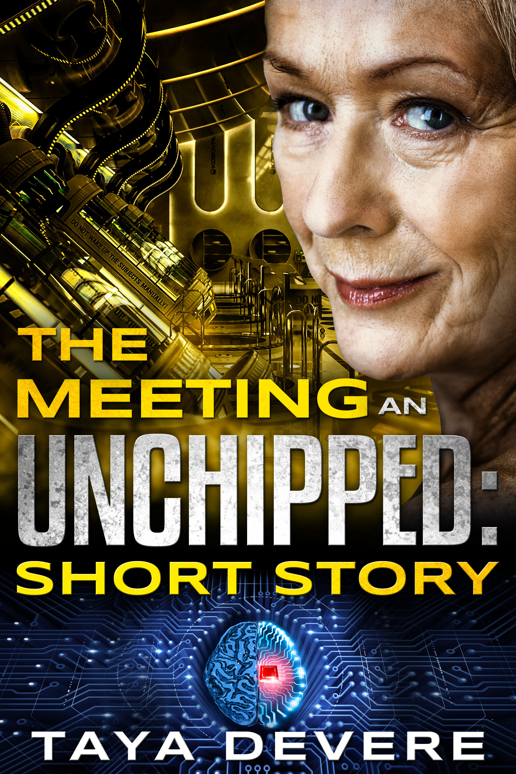 The Meeting (Unchipped, #0.5)