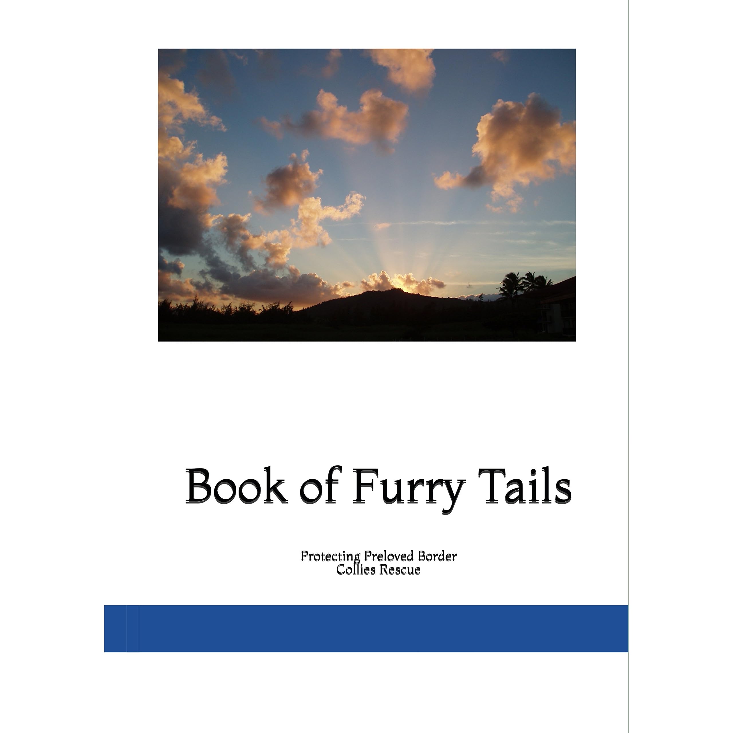 protecting preloved border collies