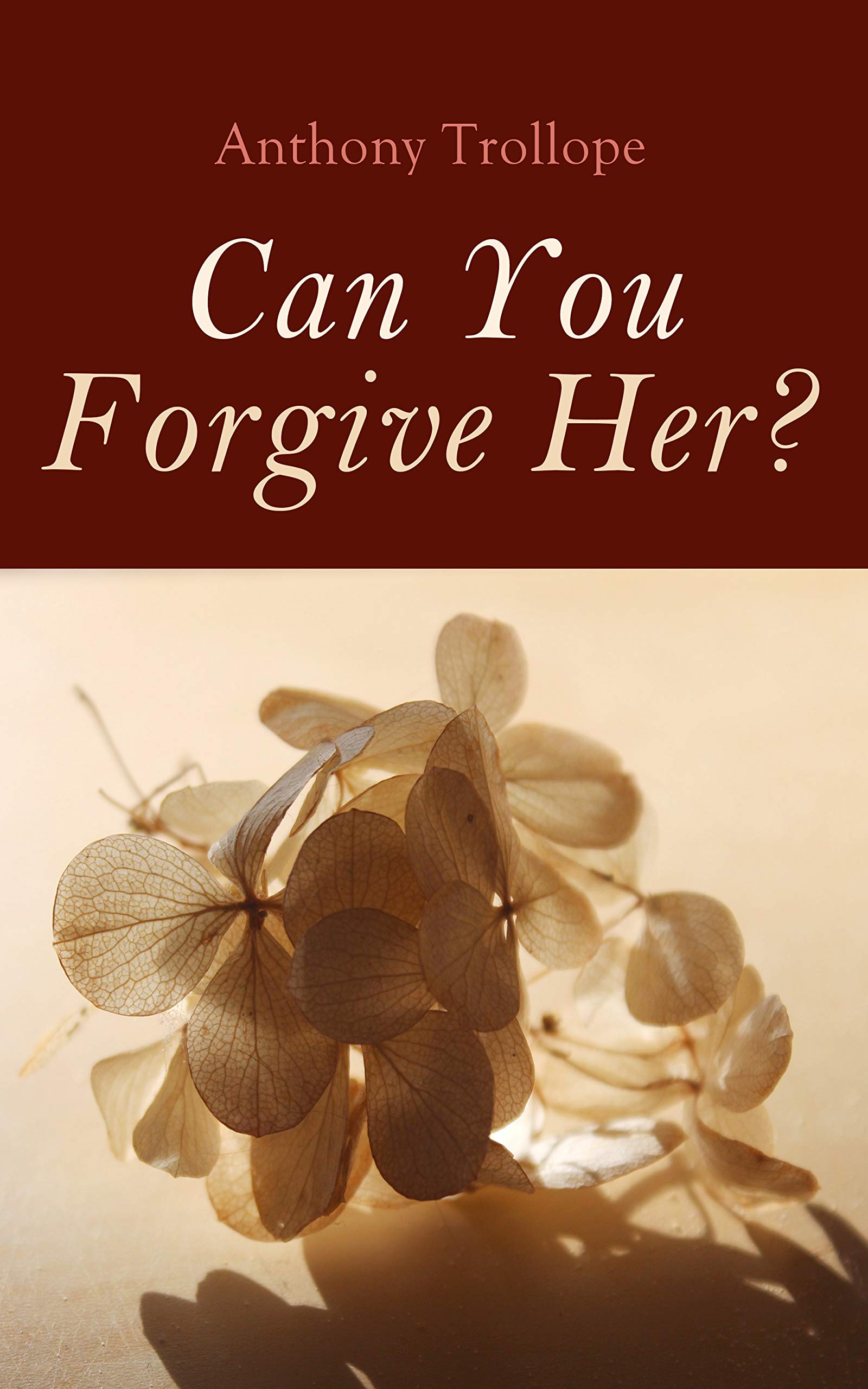 Can You Forgive Her?: Palliser Novel