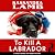 To Kill a Labrador (Marcia Banks and Buddy Mysteries #1)