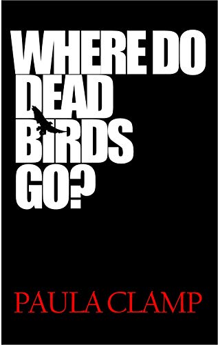 Where Do Dead Birds Go?