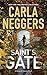 Saint's Gate (Sharpe & Donovan Book 1)