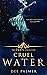 Cruel Water (The Dirty Heroes Collection Book 11)