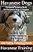 Havanese Dogs, Havanese Tra...
