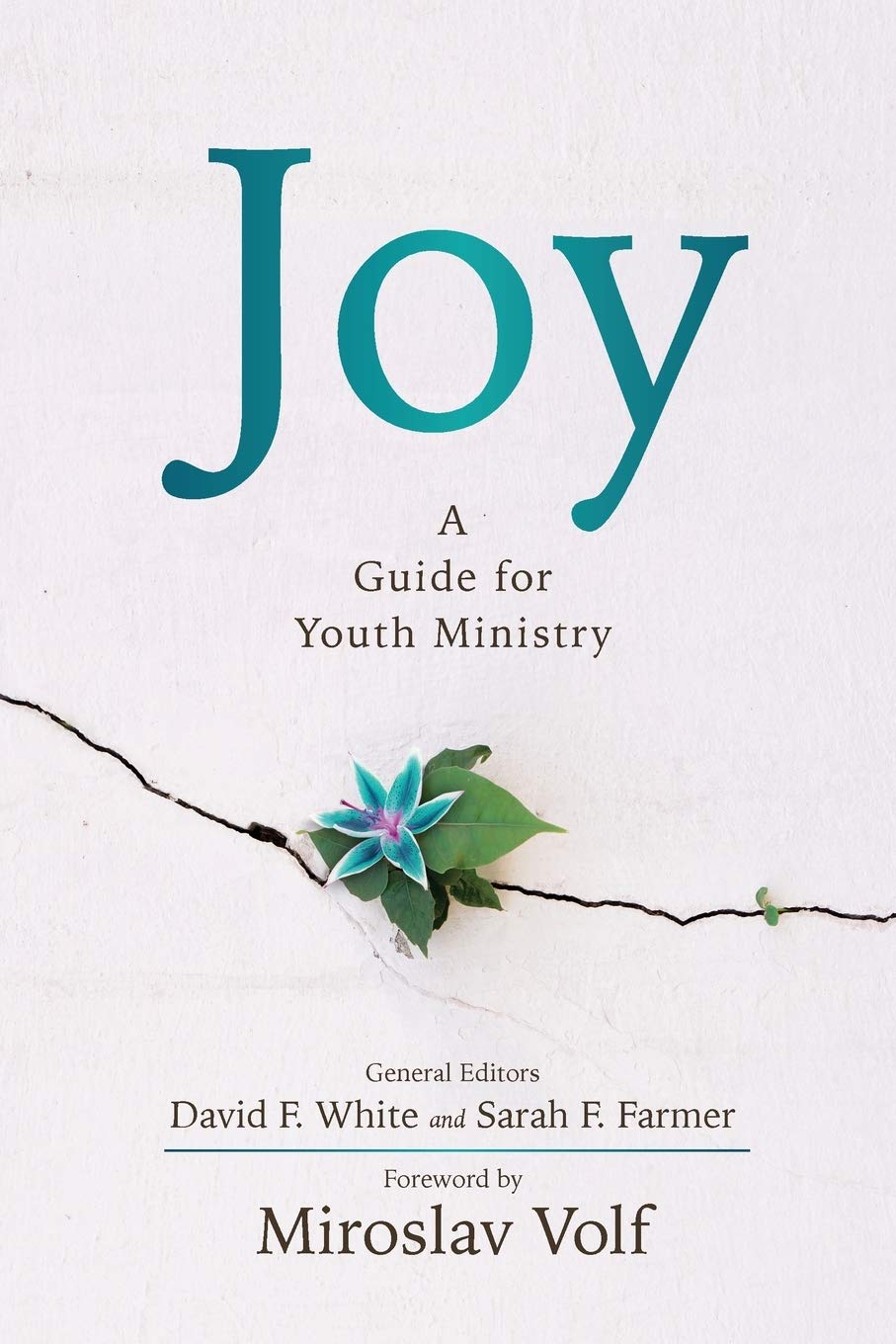 Joy: A Guide for Youth Ministry (Paperback)