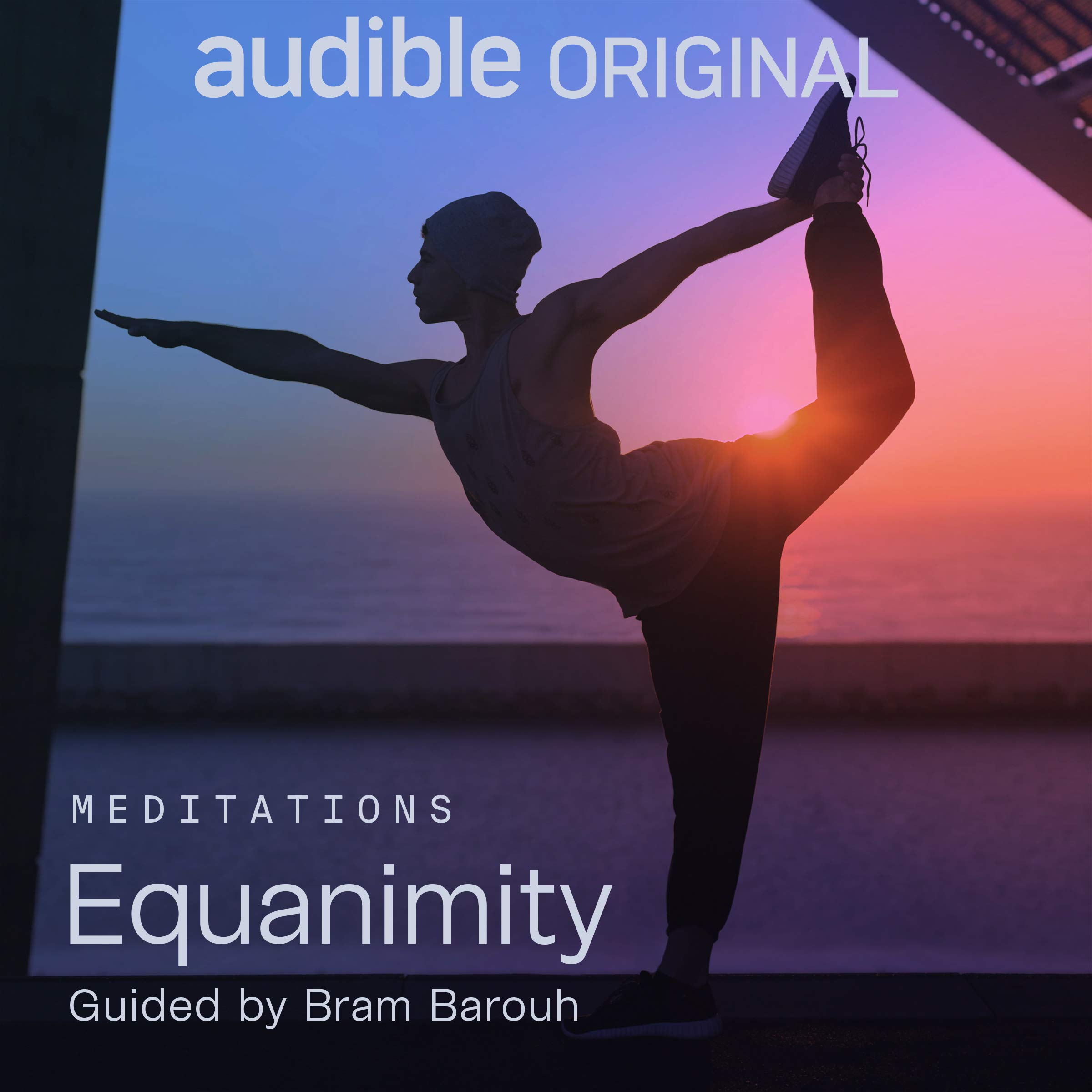 Equanimity (Audible Audio)
