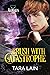 Brush with Catastrophe (The Aloysius Tales, #2)