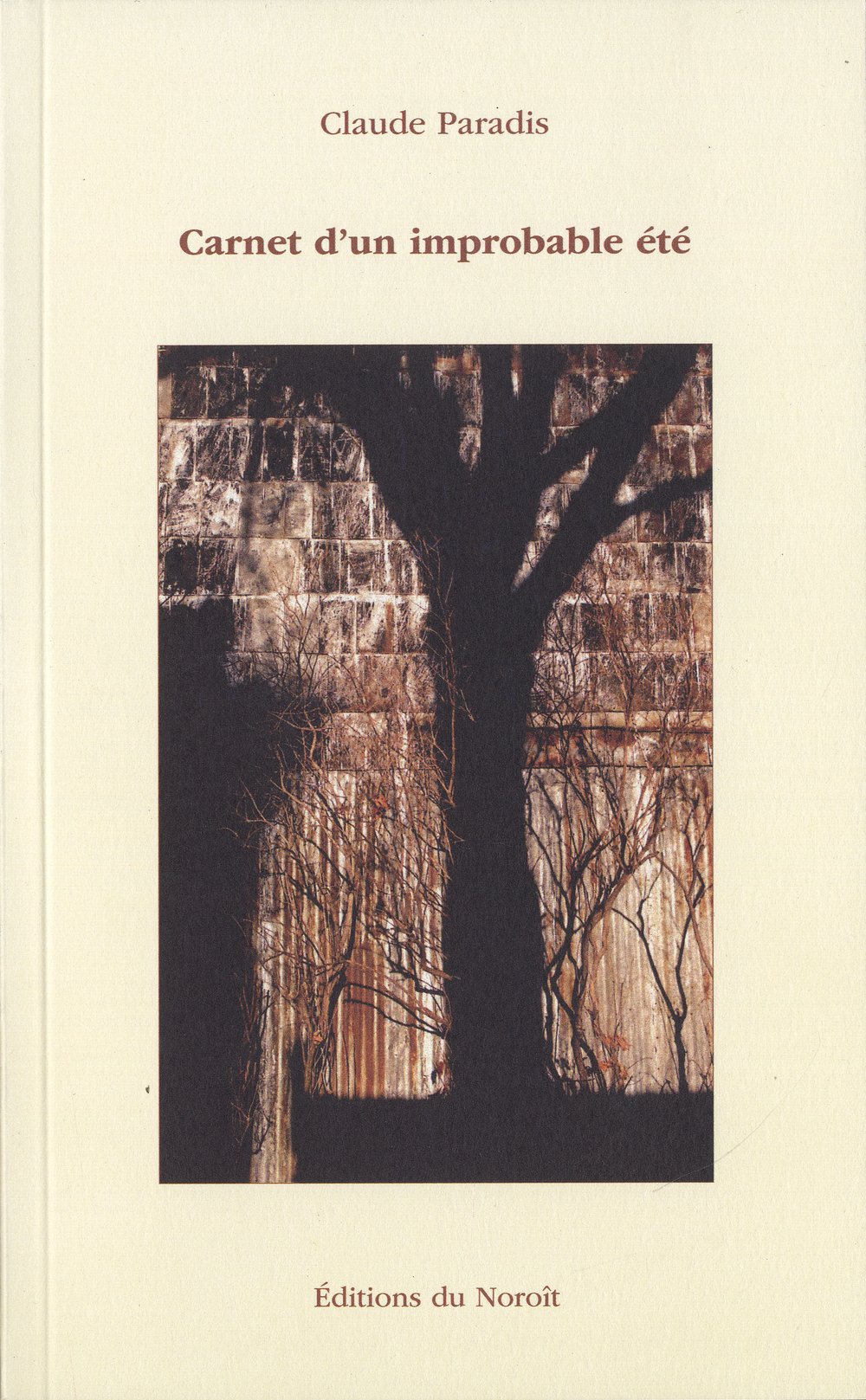 Carnet d'un impropable été