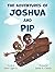 The Adventures of Joshua and Pip by John Light Jr