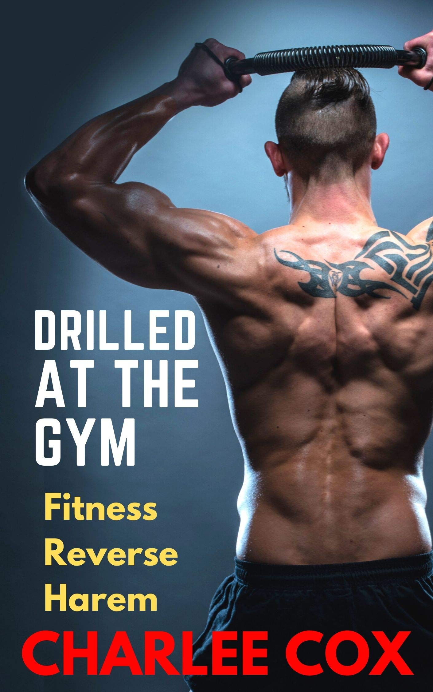 Drilled at the Gym (Fitness Reverse Harem Erotic Short)