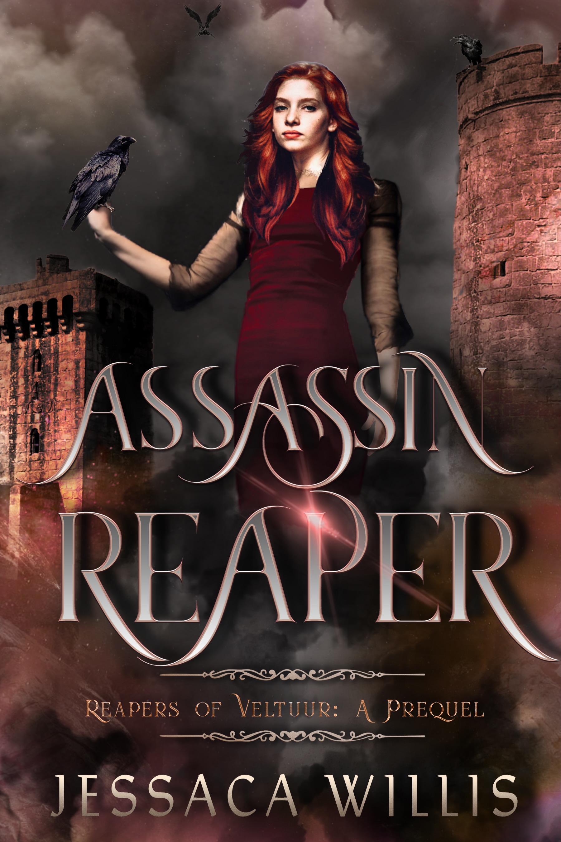 Assassin Reaper (Reapers of Veltuur, #0.5)