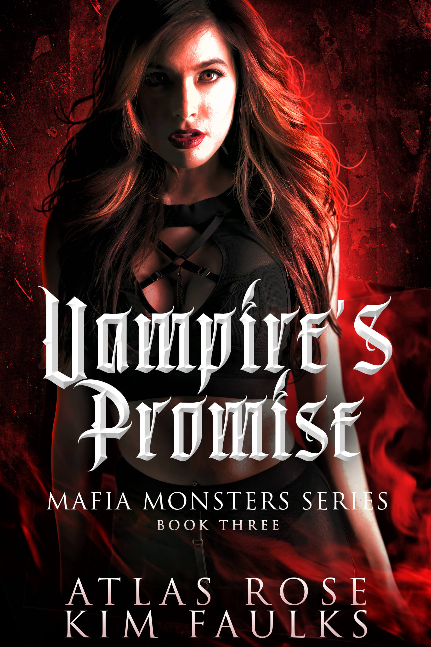 Vampire's Promise (Vampire Mafia Monsters, #3)