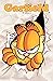 Garfield: Vol 5 Great Fat C...