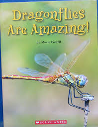 Dragonflies are amazing! (Paperback)