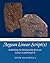 Aegean Linear Script(s): Rethinking the Relationship Between Linear A and Linear B (Cambridge Classical Studies)