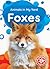 Foxes (Animals in My Yard)