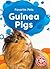 Guinea Pigs by Christina Leaf