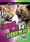 Siberian Tiger vs. Brown Bear by Nathan Sommer