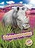 Rhinoceroses (Blastoff Read...