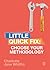 Choose Your Methodology: Little Quick Fix