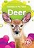 Deer (Animals in My Yard)