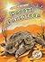 Desert Tortoises