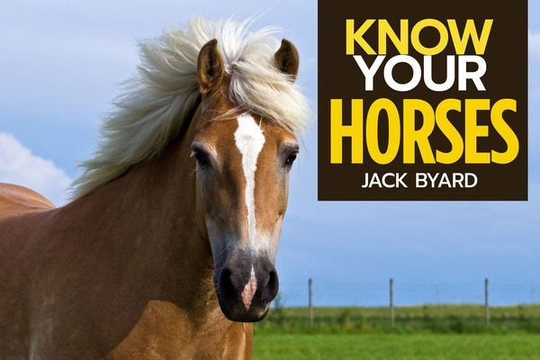 Know Your Horses (Old Pond Books) 44 Breeds from Andalusian to Welsh, with Essential Facts on History, Origin, Physical Characteristics, Natural Habitats, and More, plus Full-Page Photos of Each Breed