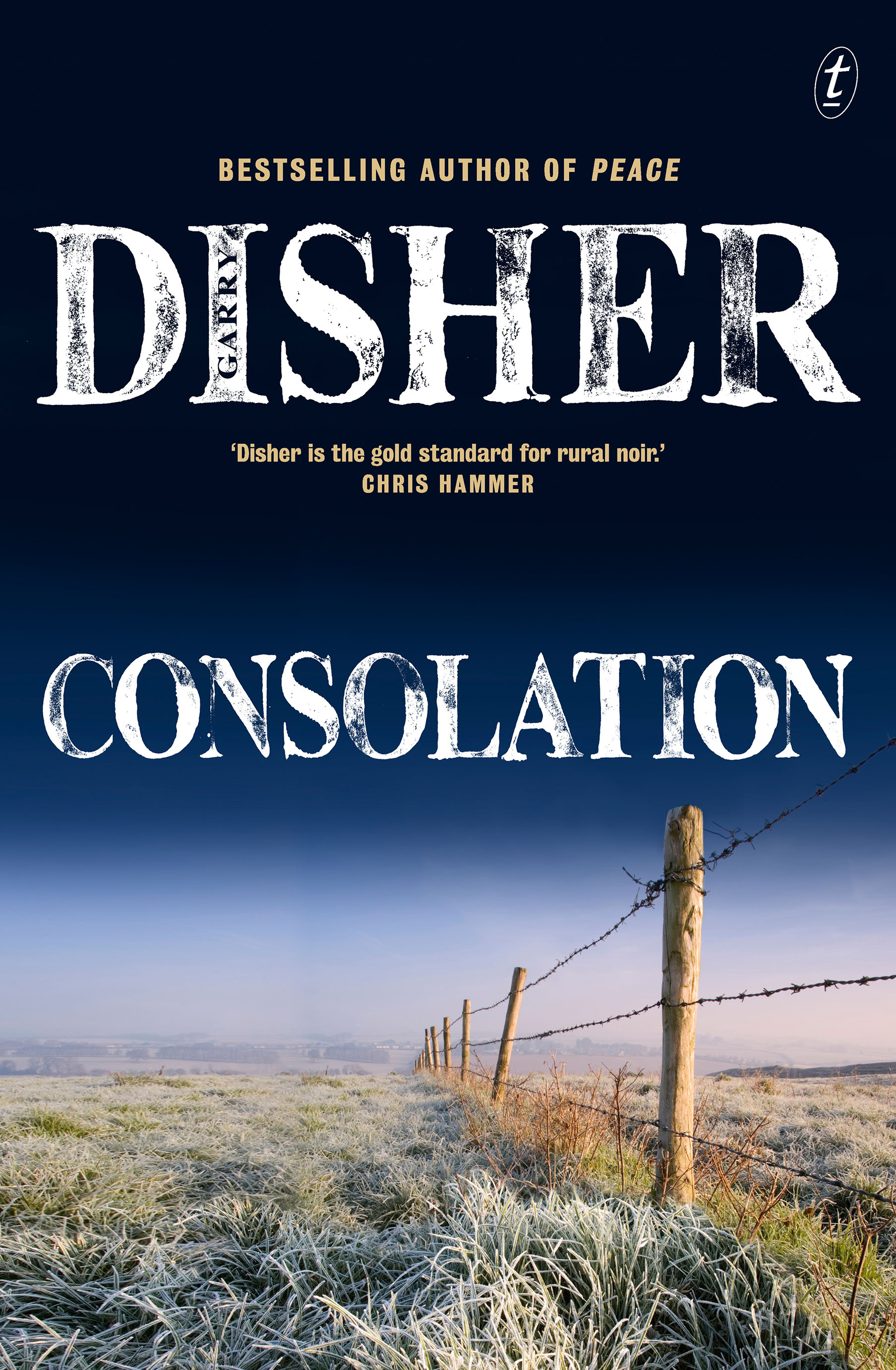 Consolation (Hirsch, #3)