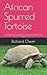 African Spurred Tortoise: T...