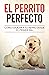 El Perrito Perfecto: Cómo E...
