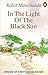 In the light of the black sun by Rohit Manchanda