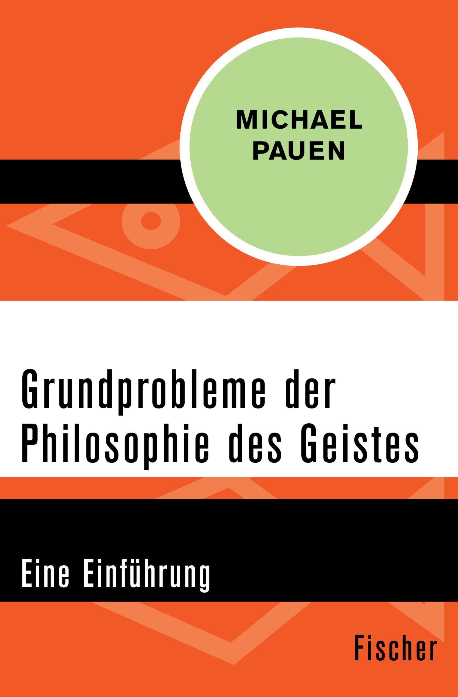 Grundprobleme der Philosophie des Geistes: Eine Einführung (German Edition)