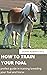 HOW TO TRAIN YOUR FOAL : CO...
