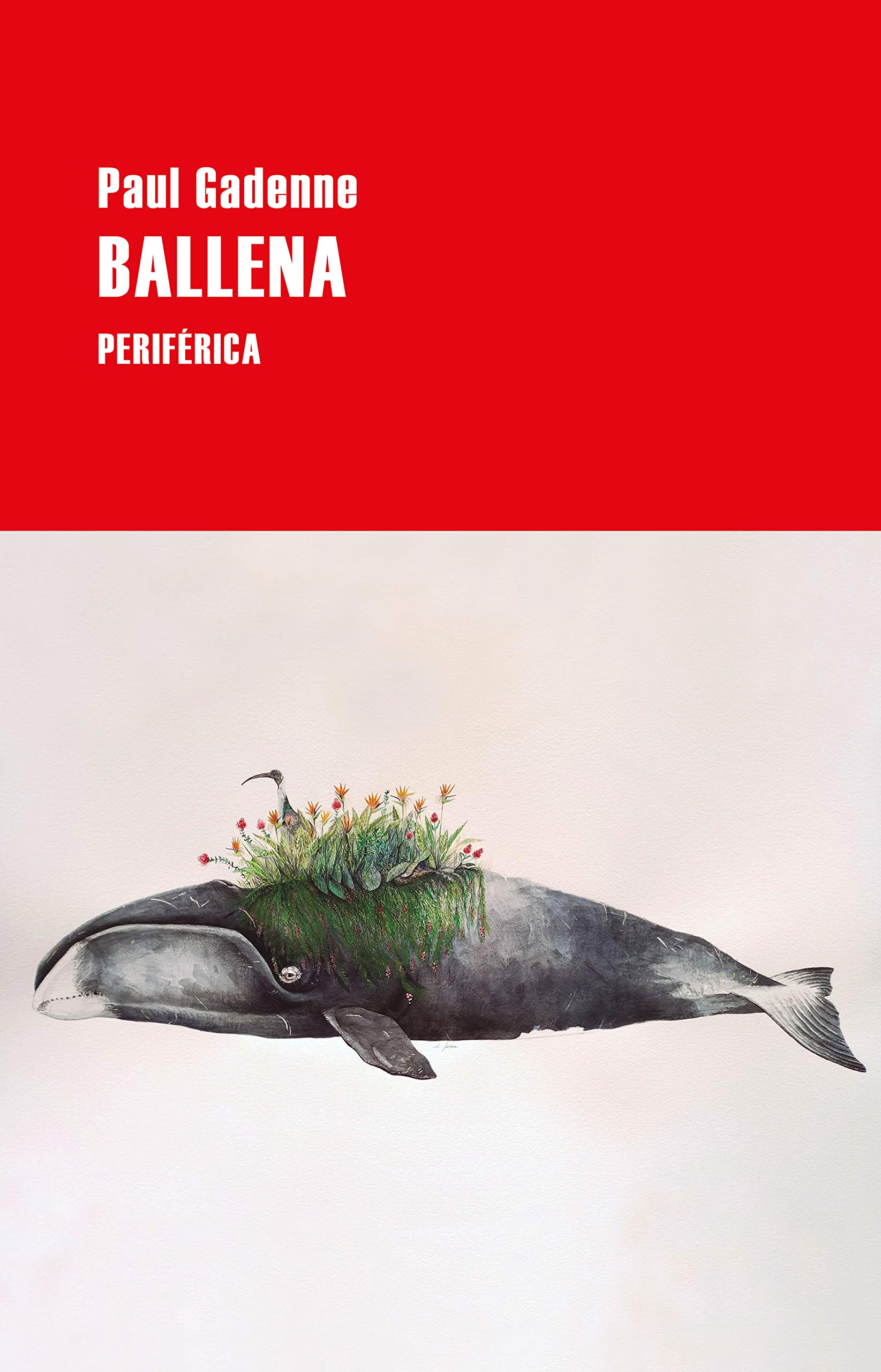 Ballena (Kindle Edition)