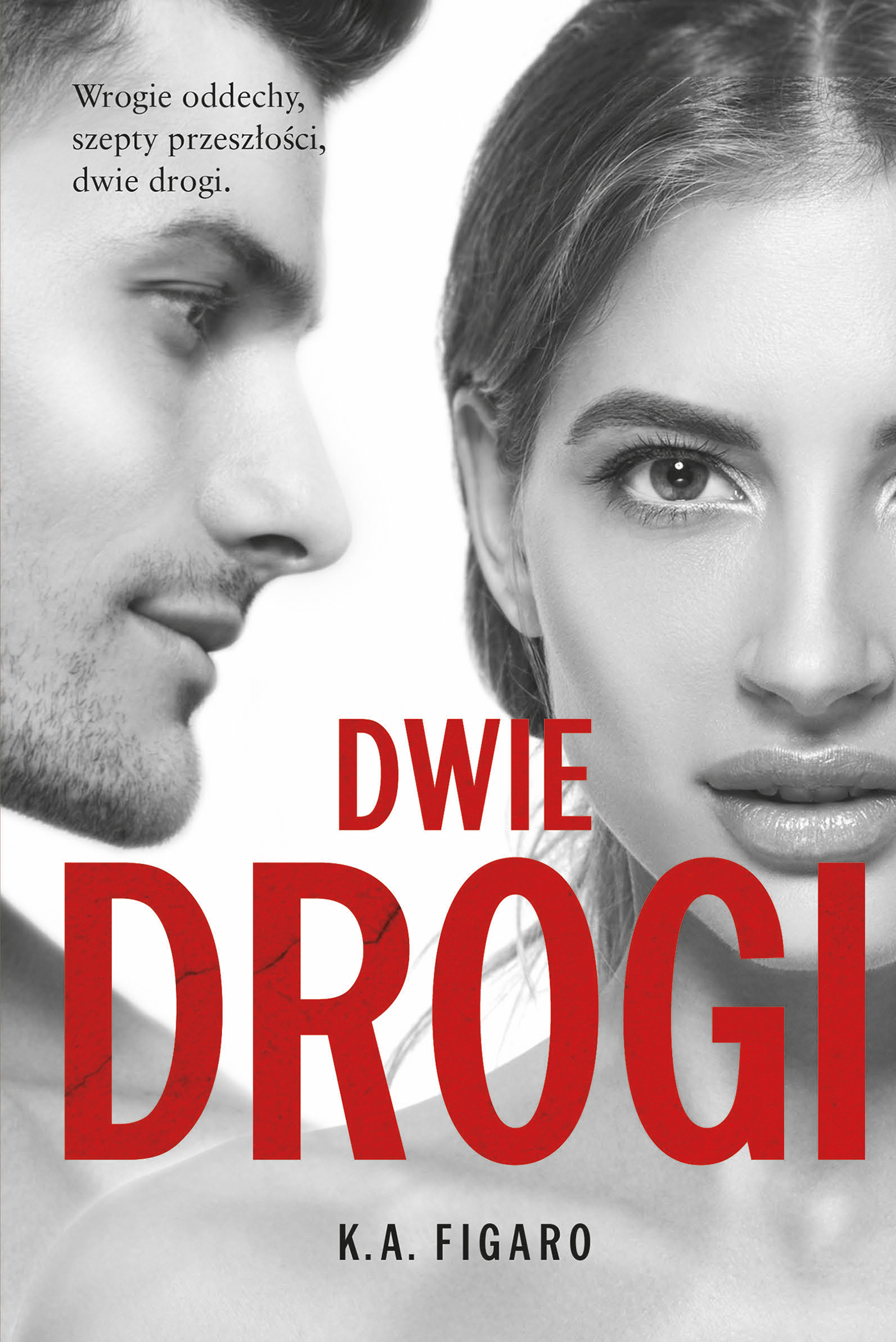 Dwie drogi (Rozchwiani, #4)