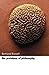 The Problems of Philosophy