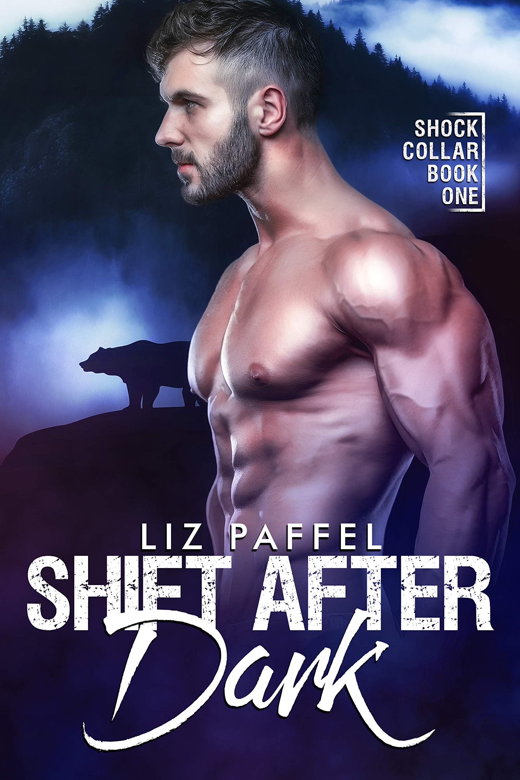 Shift After Dark (Shock Collar #1)