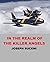 IN THE REALM OF THE KILLER ANGELS