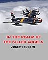 IN THE REALM OF THE KILLER ANGELS