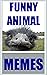 Memes: Funny Animals - These Funny Memes With Animals Are So Awesome Guys