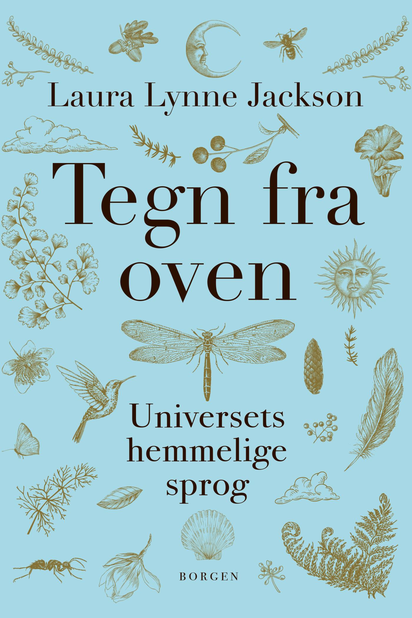 Tegn fra oven: Universets hemmelige sprog